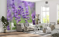 Lavender blooms wall mural with purple floral accent in a living room., GD10456