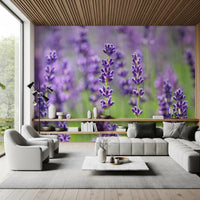 Floral wall mural with Slender green stems supporting lavender flower spikes., GD10456