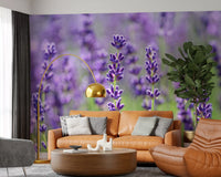 Botanical wall mural with natural light warming the lavender blooms., GD10456