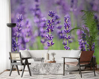 Individual petal clusters on lavender stems in blooms wall mural., GD10456