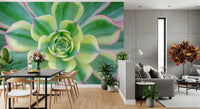 Waxy leaf surfaces catching light in the succulent wall mural., GD10457