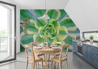 Green and yellow-cream variegation wall mural with fleshy succulent leaves in dining room., GD10457
