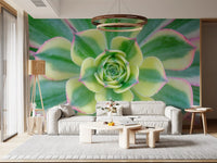 Succulent leaves wall mural with Layered green stripes fading to pale yellow in living area., GD10457