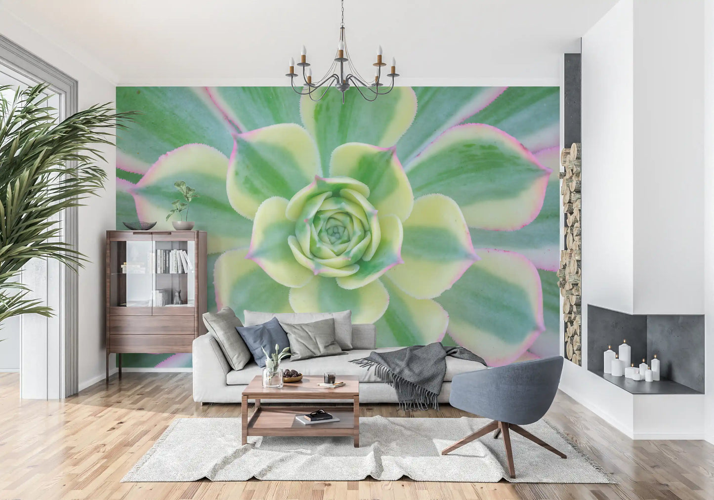 spiral centre wall mural showing Top-down view of succulent leaves radiating., GD10457