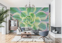 spiral centre wall mural showing Top-down view of succulent leaves radiating., GD10457