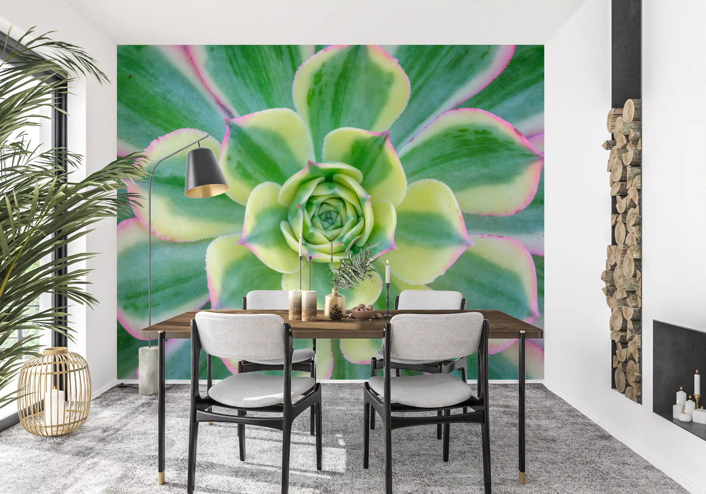 Natural spiral pattern of the variegated in succulent rosette wall mural., GD10457