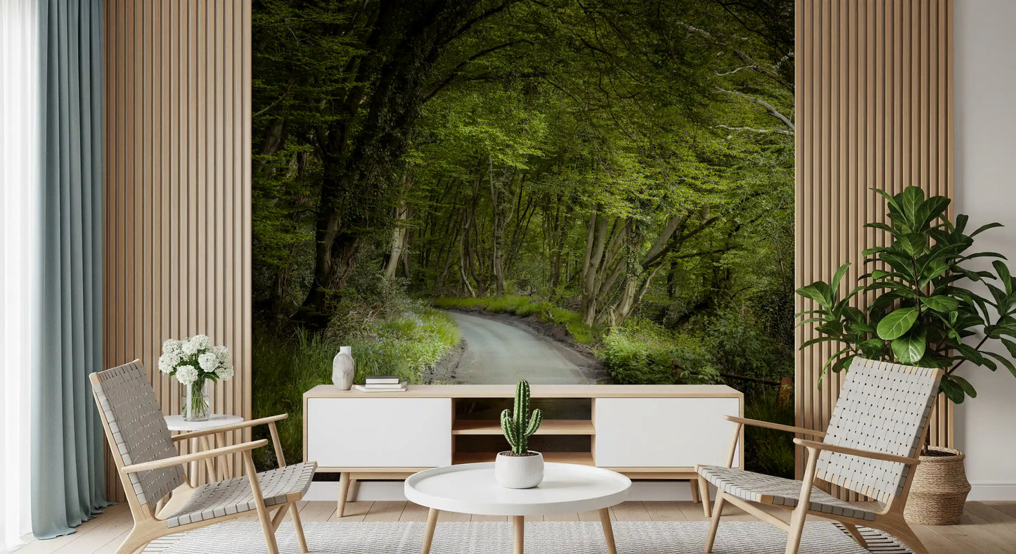 Enchanted pathway mural with Natural tree tunnel with layered shadows.