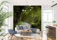 Deep green woodland canopy over winding road in forest wall mural.