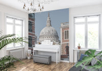 Architectural Dome wall mural with Grey and brown toned and open sky., GD10464