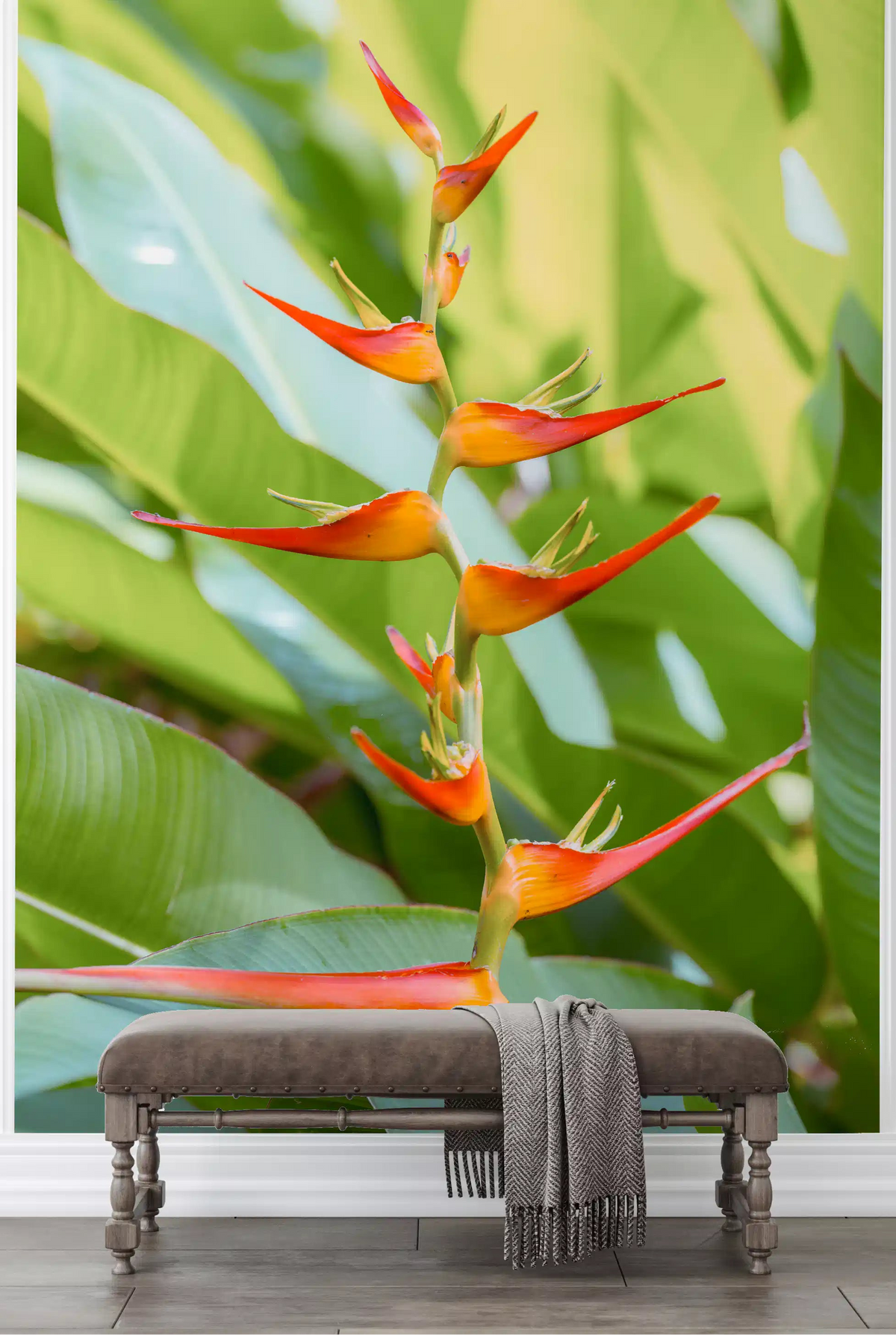 Hallway wall mural featuring orange and red tropical heliconia flower., GD10471