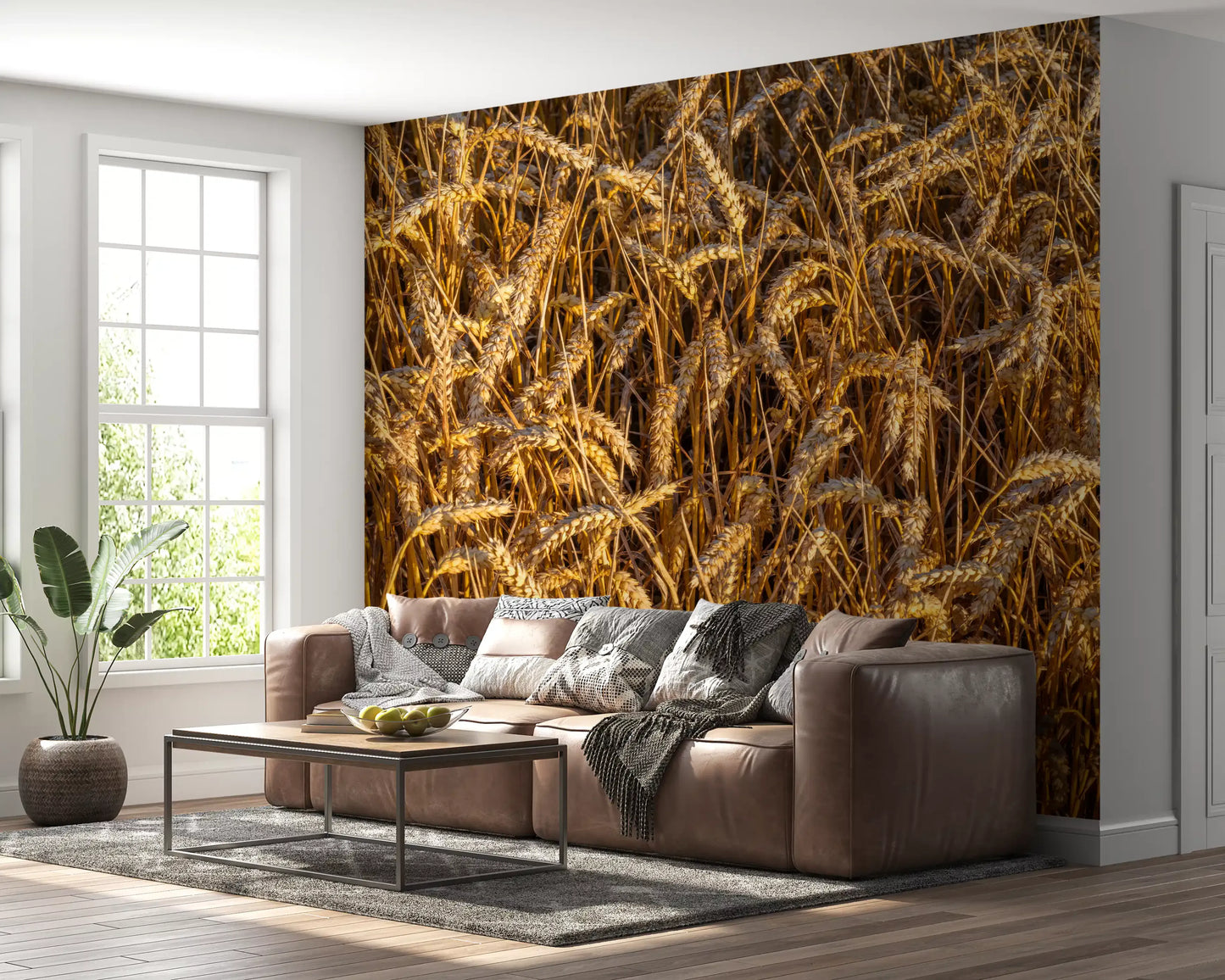 Full-frame wheat field with warm brown and gold tones in harvest wall mural., GD10481