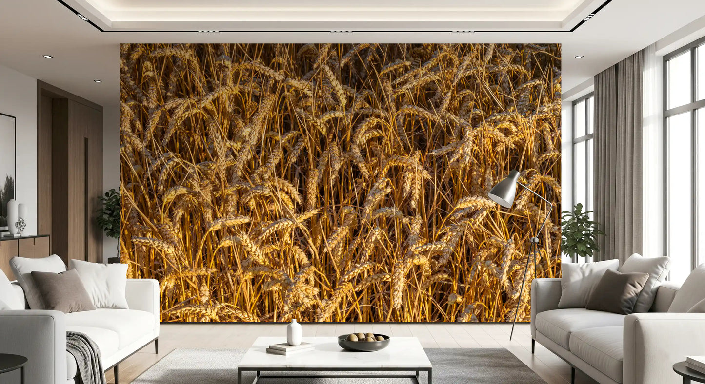 Warm amber tones across golden harvest field wall mural surface., GD10481