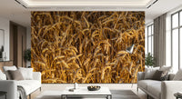 Warm amber tones across golden harvest field wall mural surface., GD10481