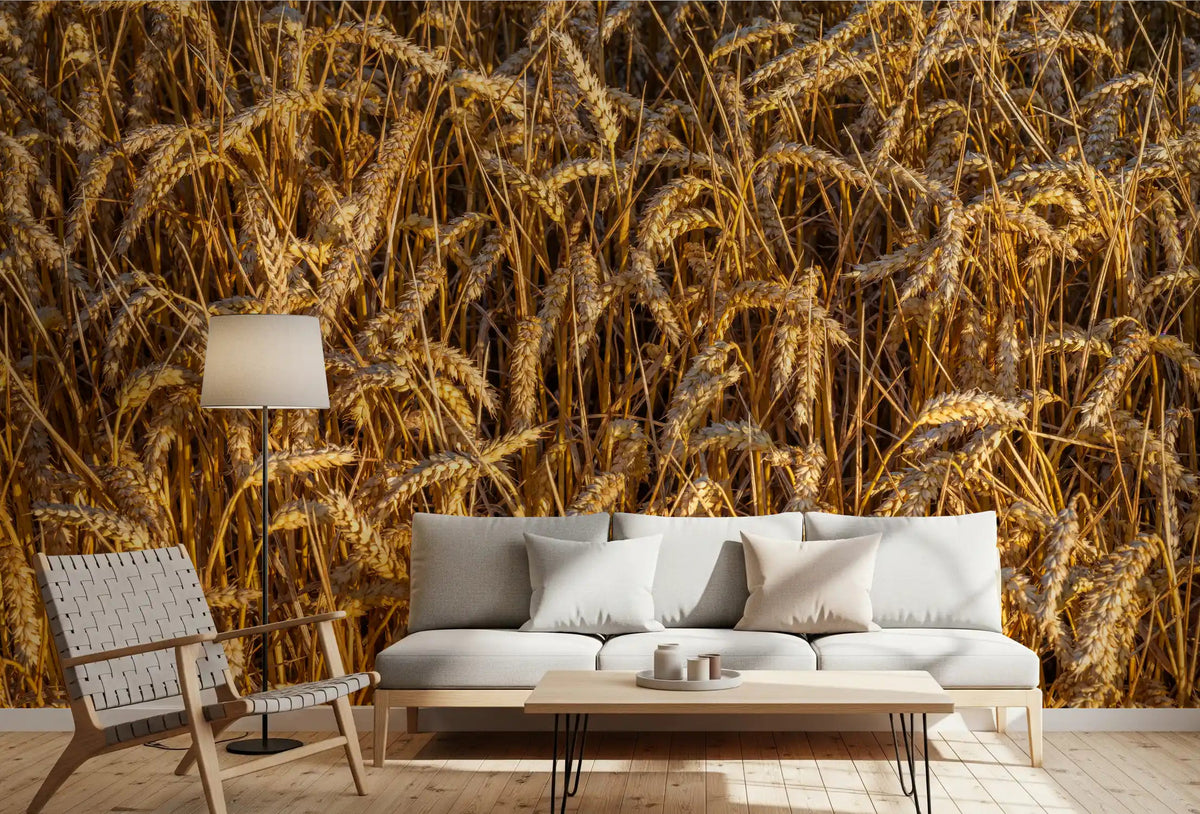 Golden harvest field wall mural displayed in a living room space., GD10481