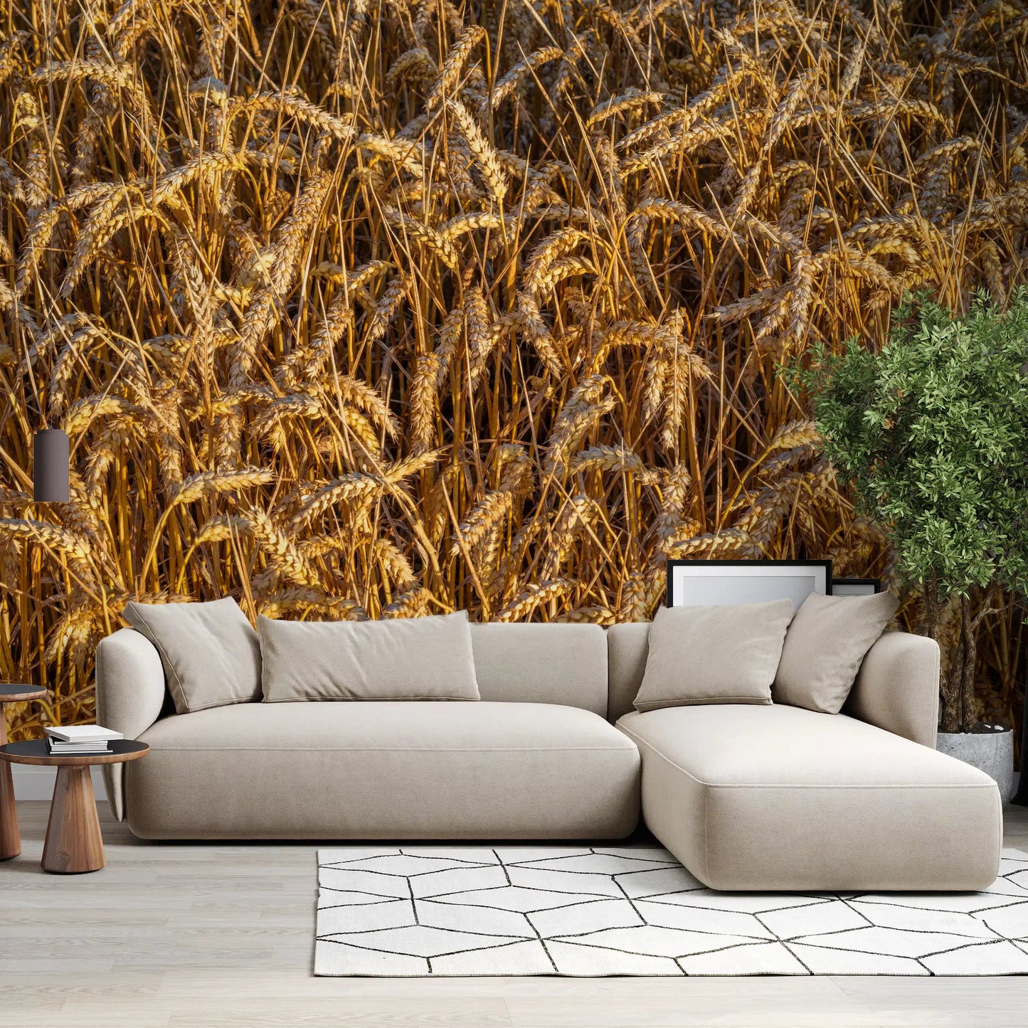 Golden harvest field wall mural with dense sunlit wheat stalks and grain., GD10481