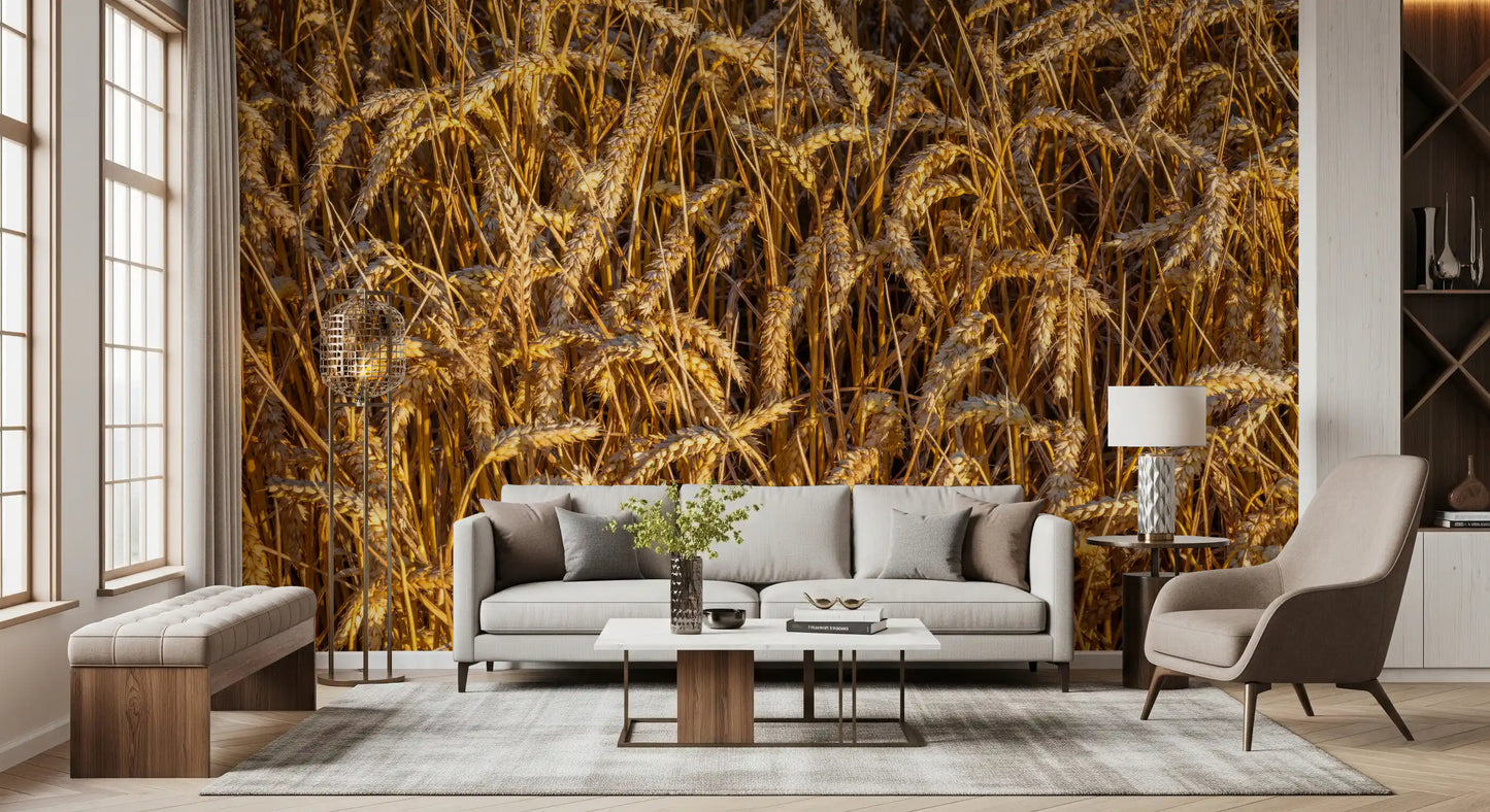 Harvest Wall mural with Overlapping wheat heads and slender stalk., GD10481