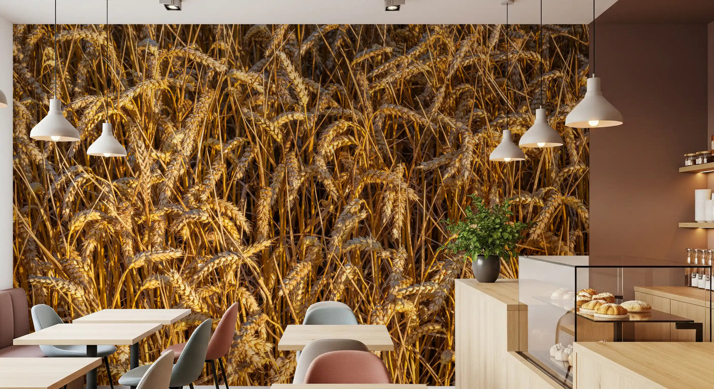 Golden harvest wall mural with Individual wheat kernels highlighted in cafe area., GD10481