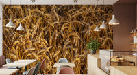 Golden harvest wall mural with Individual wheat kernels highlighted in cafe area., GD10481