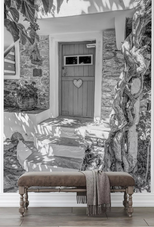 Monochrome cottage door wall mural adding character to a hallway space.