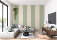 Sage Green Stripe Wallpaper Grandmillennial Wallpaper⁠