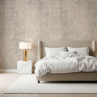 Aged Concrete Plaster Textured Wallpaper Wall Mural