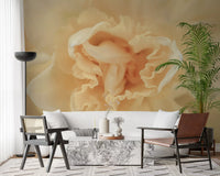 Soft Peach Ruffled Blooms Wall Mural