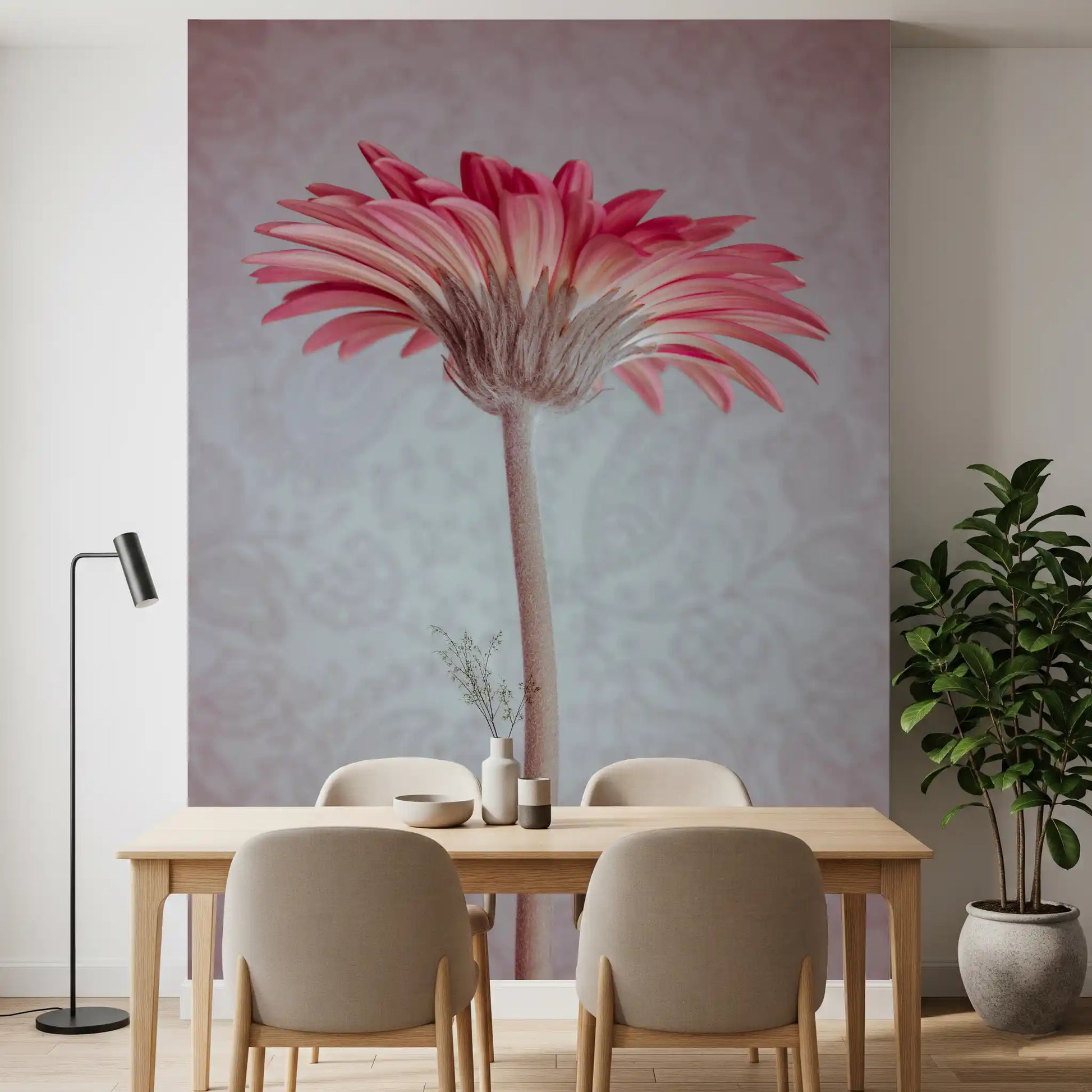 Elegant Pink Gerbera Bloom Wallpaper Wall Mural
