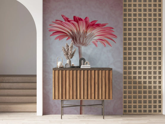 Pink gerbera bloom mural with blush petals and a dusty cream centre in hallway GD10908