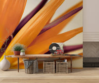 Vibrant Bird of Paradise Botanical Wall Mural Wall Mural