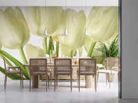 Luminous White Tulips Floral Wall Mural Wall Mural