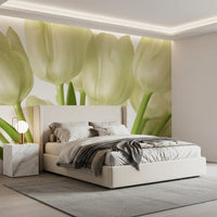 Luminous White Tulips Floral Wall Mural Wall Mural