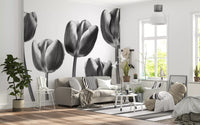 Elegant Monochrome Tulips Wallpaper Wall Mural