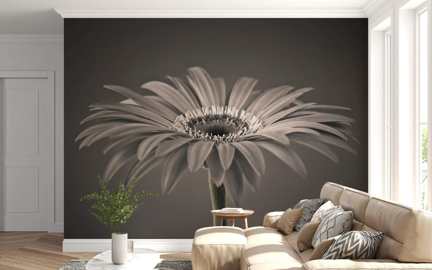 Serene Sepia Gerbera Daisy Macro Wall Mural