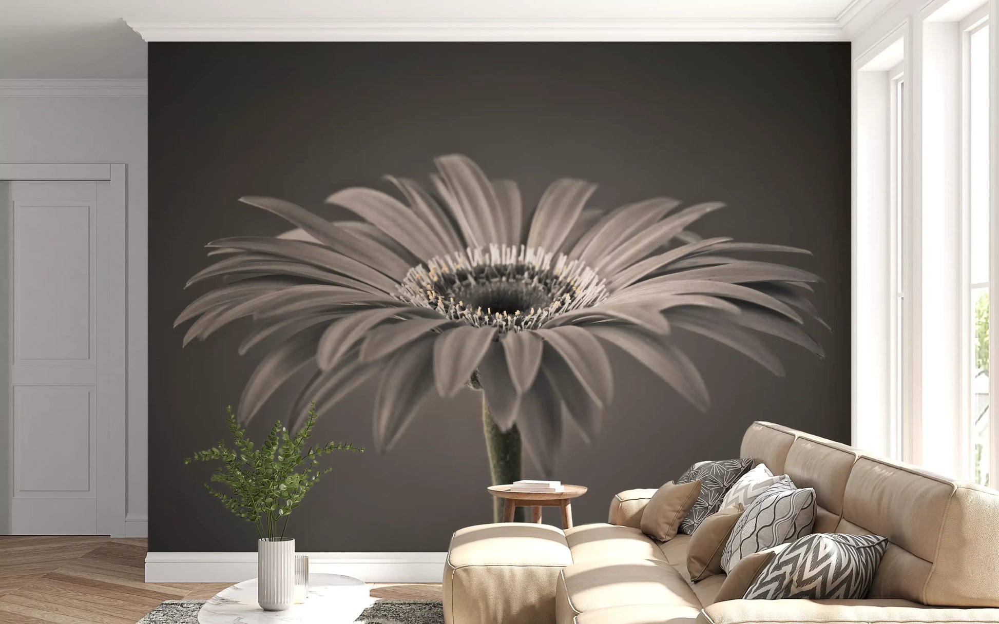 Serene Sepia Gerbera Daisy Macro Wall Mural