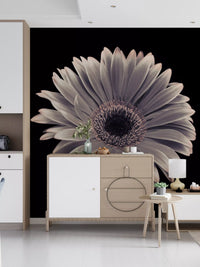 Petals of the Midnight Gerbera Wall Mural