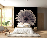 Petals of the Midnight Gerbera Wall Mural
