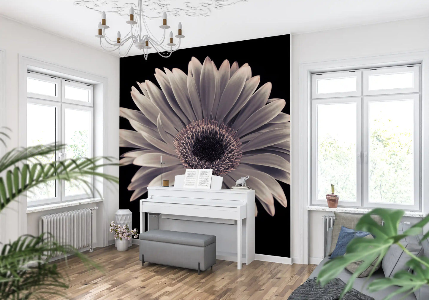 Petals of the Midnight Gerbera Wall Mural