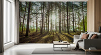 Sunlit Pine Forest Morning Wall Mural