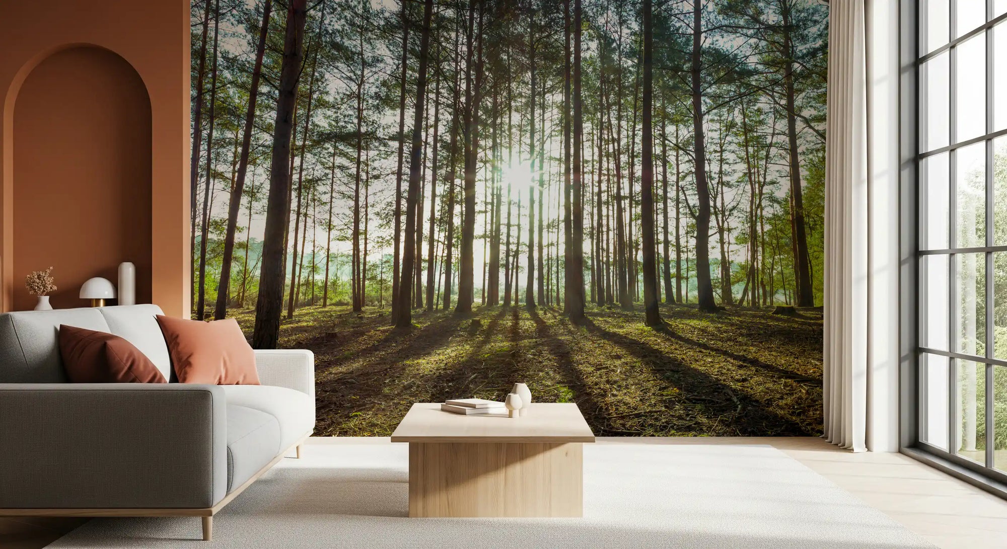 Sunlit pine forest mural with morning sunburst between tall trunks GD10938