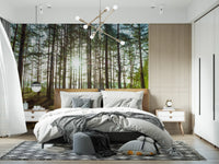 Sunlit Pine Forest Morning Wall Mural