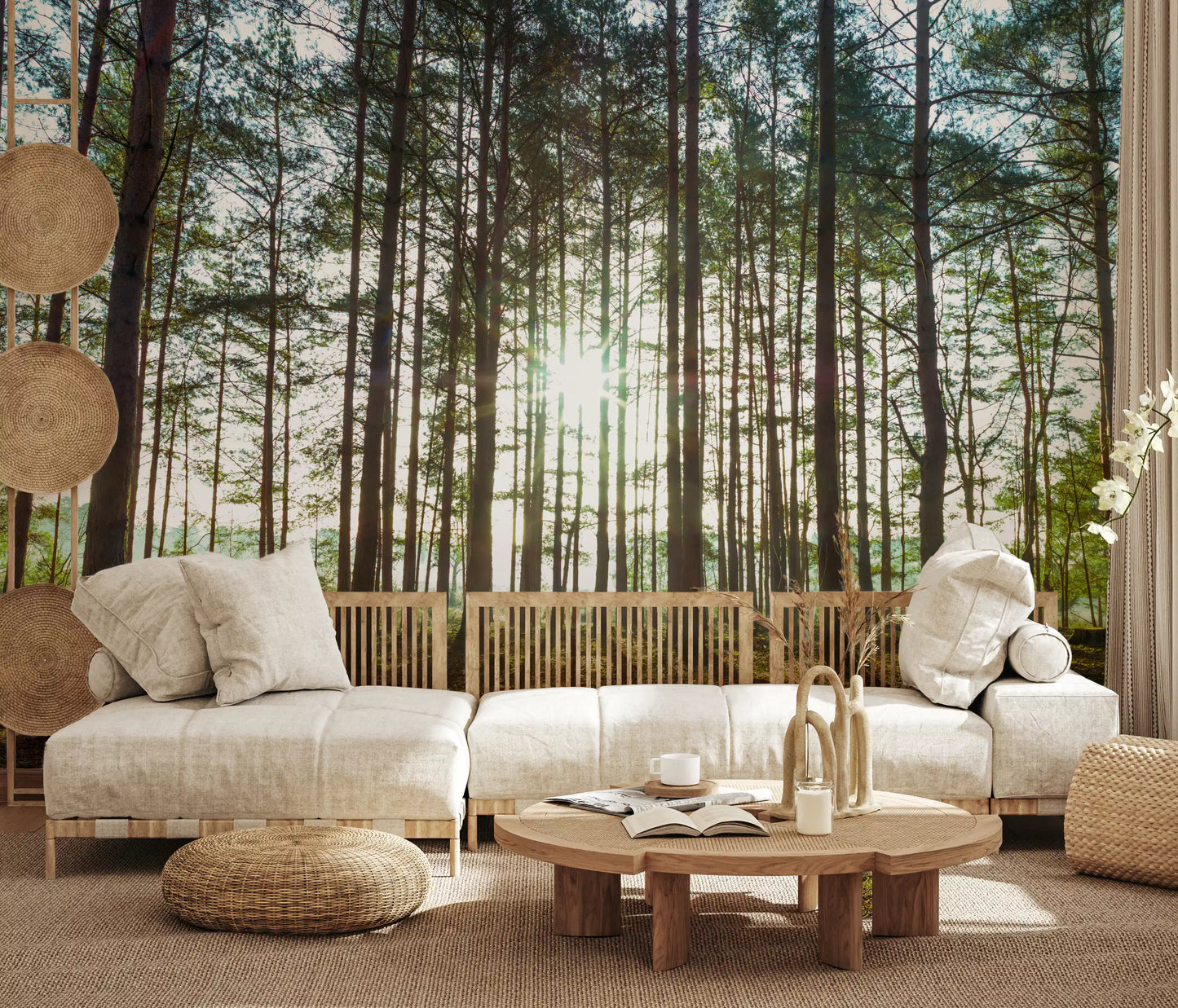 Sunlit Pine Forest Morning Wall Mural