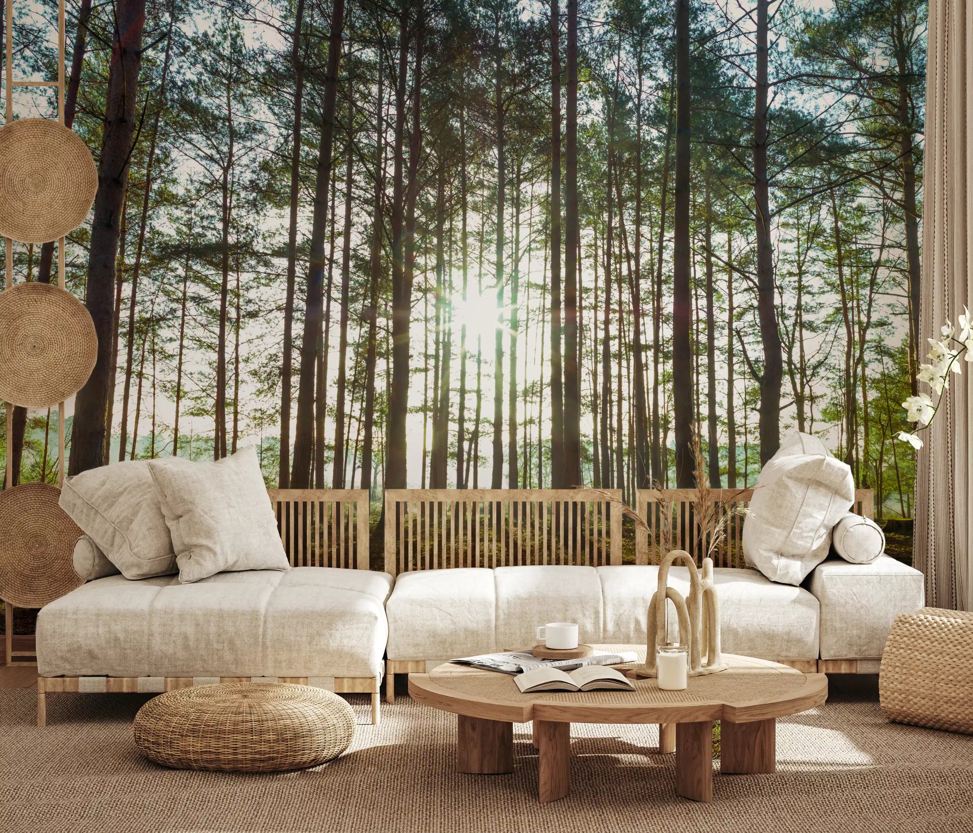 Sunlit Pine Forest Morning Wall Mural