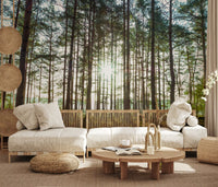 Sunlit Pine Forest Morning Wall Mural