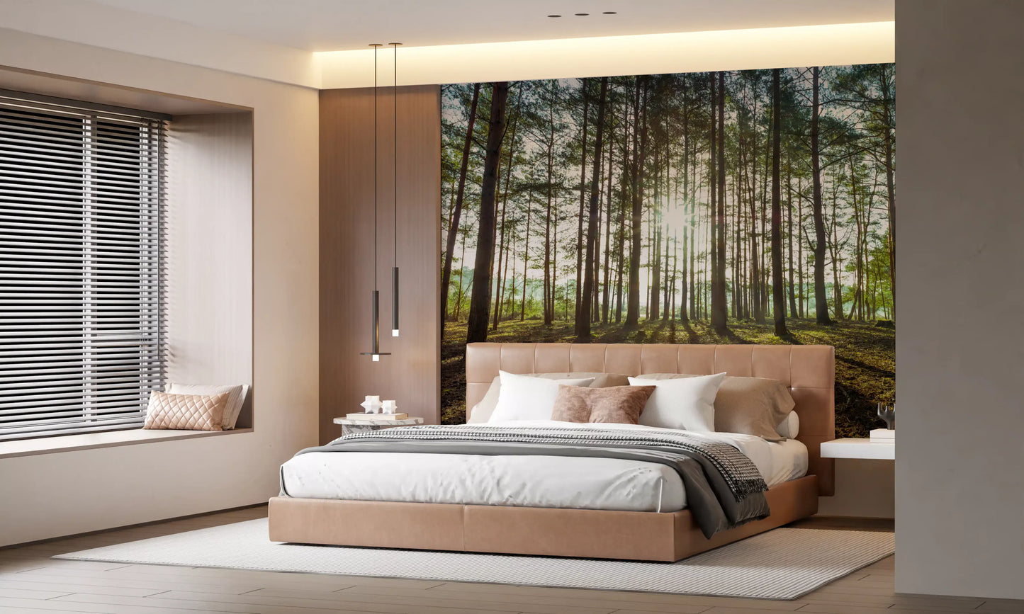 Sunlit Pine Forest Morning Wall Mural