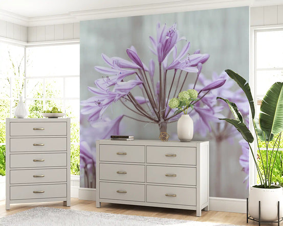 Lilac agapanthus blossoms mural with slender petals on muted grey background GD10944