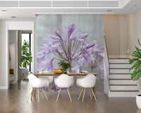 Serene Lilac Agapanthus Blossoms Wall Mural