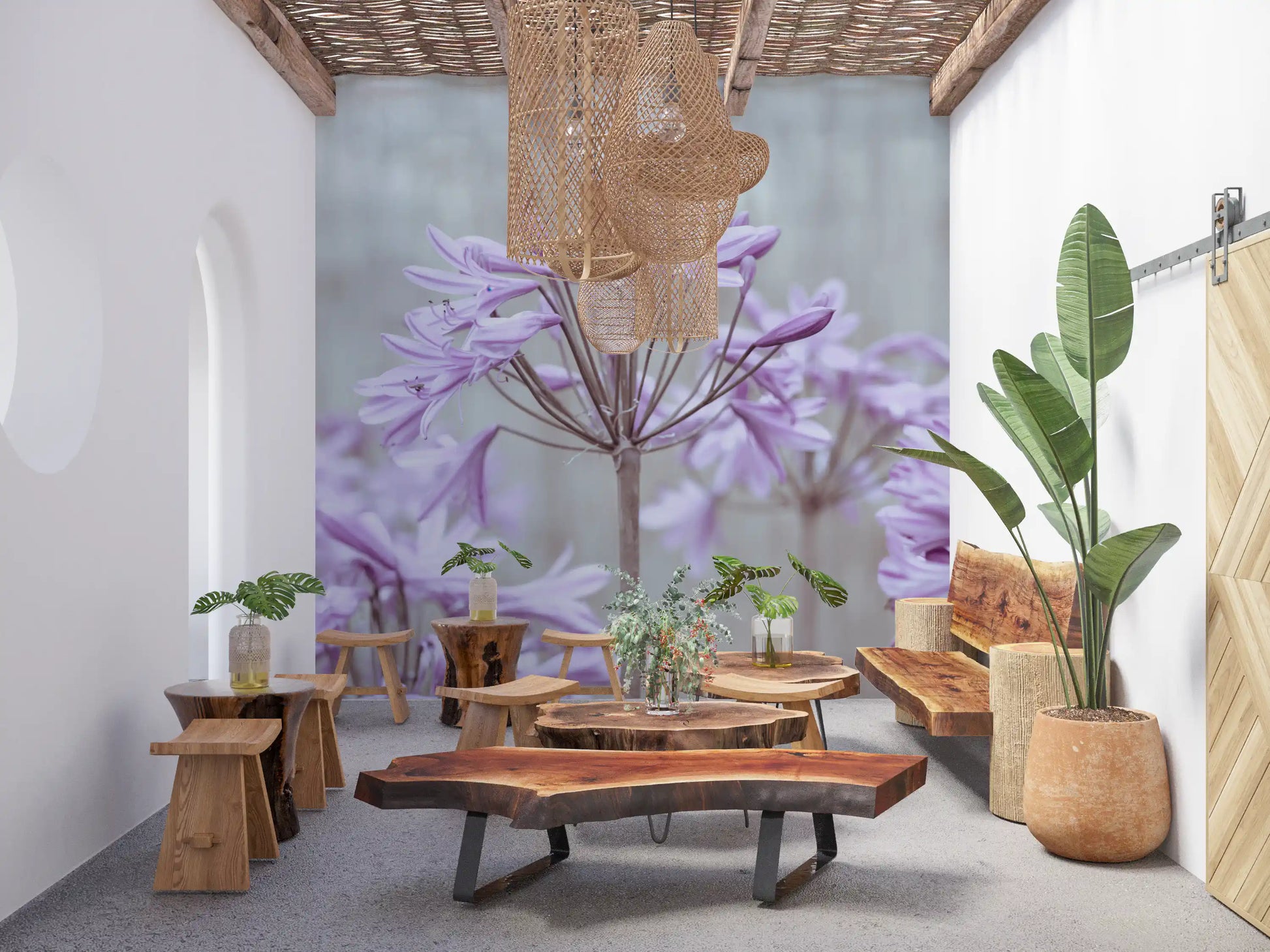 Serene Lilac Agapanthus Blossoms Wall Mural