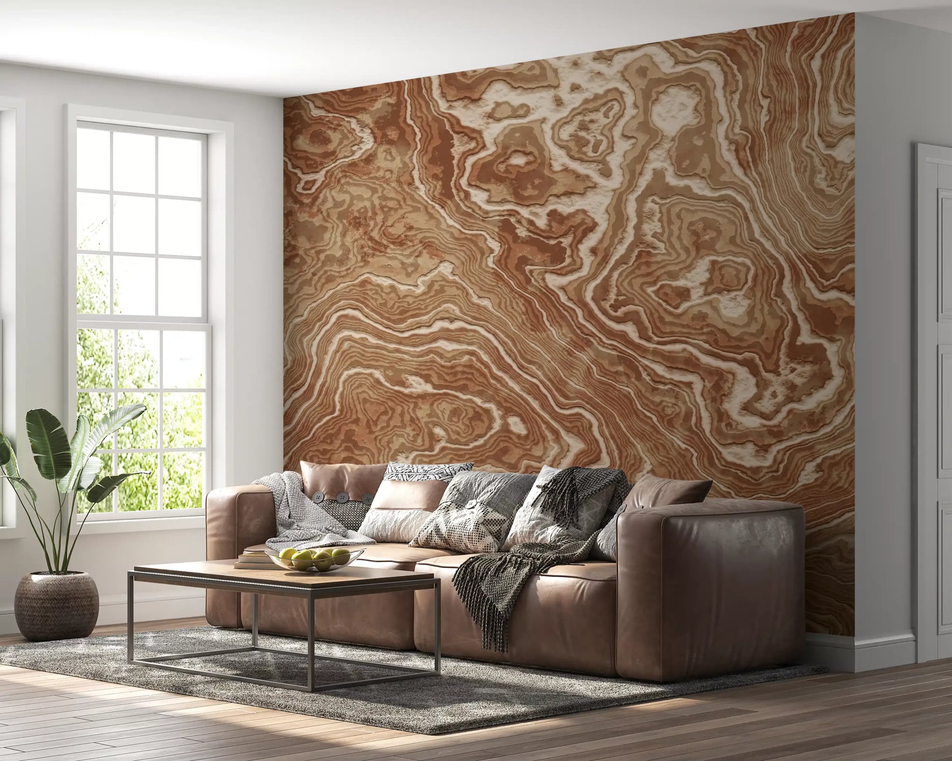 Concentric Earth Agate Texture Wall Mural
