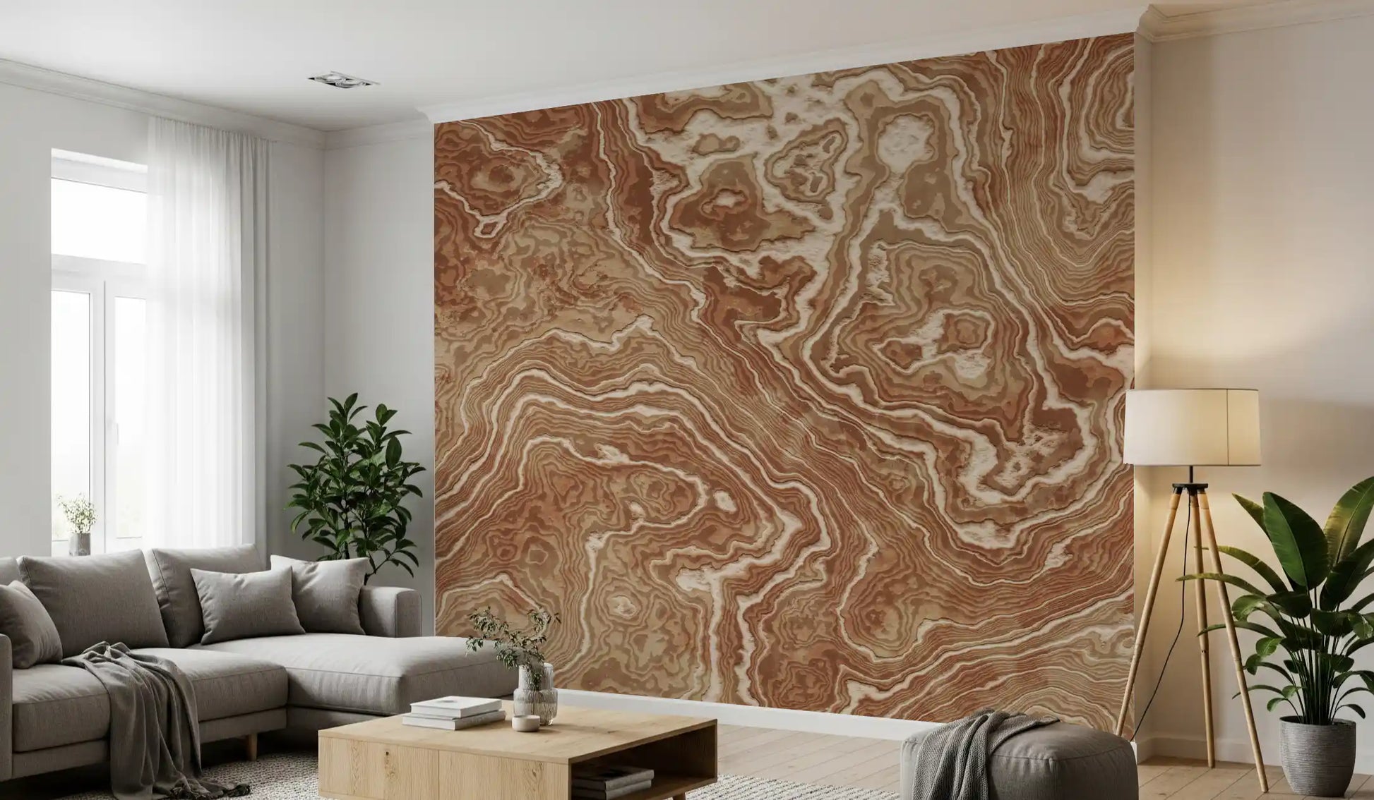 Concentric Earth Agate Texture Wall Mural