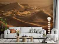 Golden Hour Desert Dunes Wall Mural